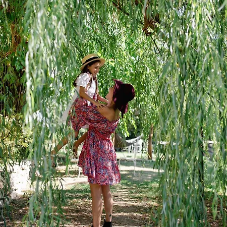 B&B La Cucchetta 도멜레토