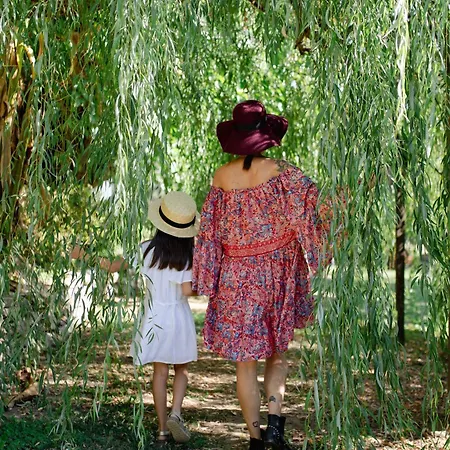 La Cucchetta Bed and breakfast