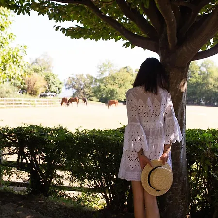 La Cucchetta B&B 도멜레토