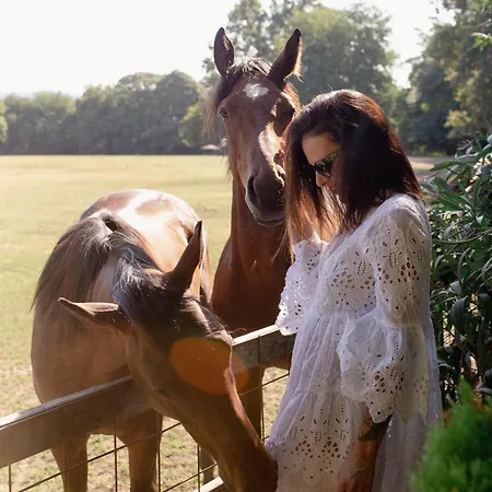 La Cucchetta 도멜레토