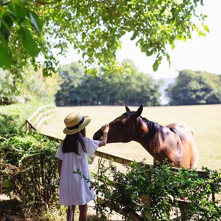 La Cucchetta Bed and breakfast Dormelletto