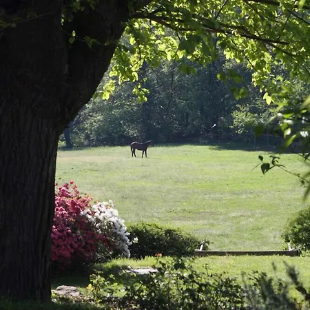 Bed and breakfast La Cucchetta