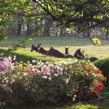 Bed and breakfast La Cucchetta Dormelletto