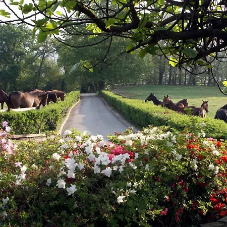 La Cucchetta Bed and breakfast