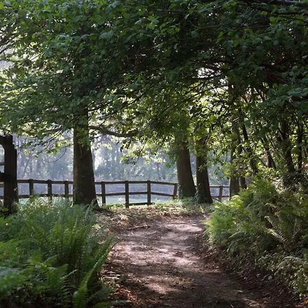 La Cucchetta Dormelletto