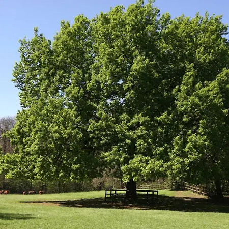 La Cucchetta Bed and breakfast