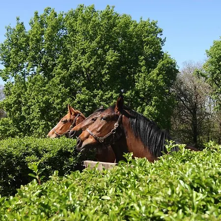 Couette-café La Cucchetta Dormelletto
