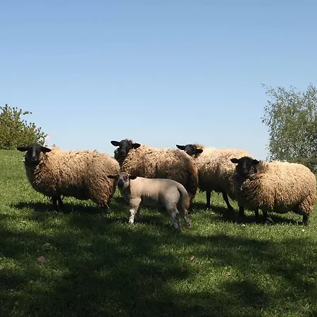 La Cucchetta Bed and breakfast