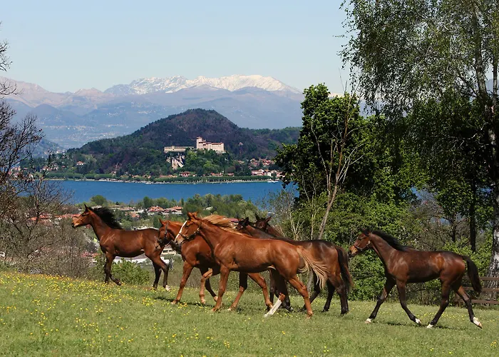La Cucchetta 4* דורמלטו